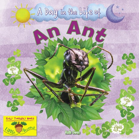 An Ant [KSIĄŻKA]