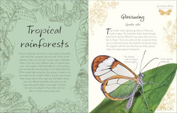An Anthology of Butterflies and Moths: A Collection of Butterflies and Moths from Around the World [KSIĄŻKA]