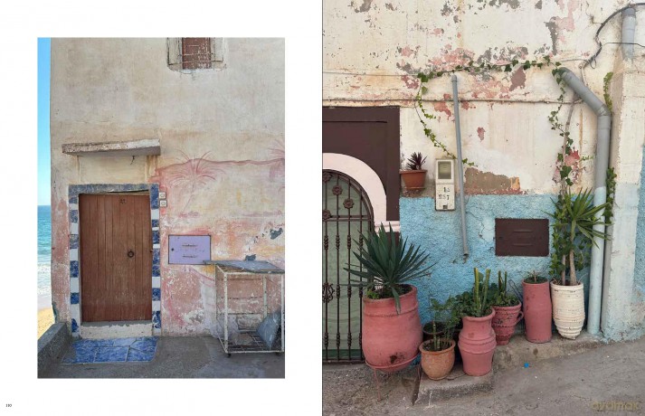 An Artist's Journey: A Celebration of Colour, Creativity, Curiosities, Travel and Design [KSIĄŻKA]