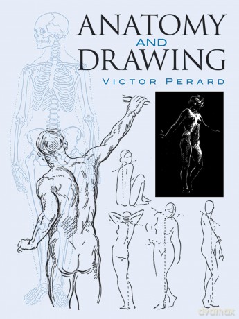 Anatomy and Drawing [KSIĄŻKA]