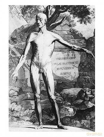 Anatomy and Perspective: The Fundamentals of Figure Drawing [KSIĄŻKA]