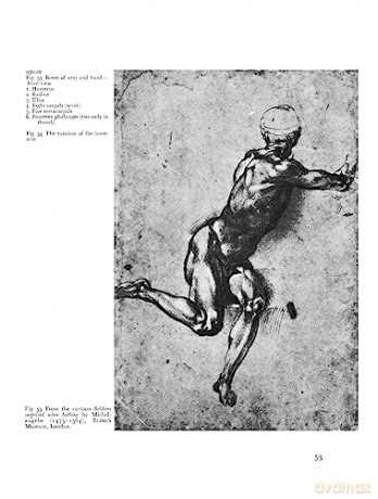 Anatomy and Perspective: The Fundamentals of Figure Drawing [KSIĄŻKA]
