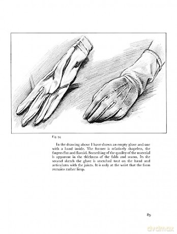 Anatomy and Perspective: The Fundamentals of Figure Drawing [KSIĄŻKA]