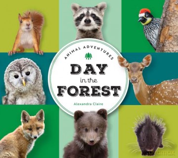 Animal Adventures: Day in the Forest [KSIĄŻKA]