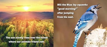 Animal Adventures: Day in the Forest [KSIĄŻKA]