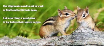 Animal Adventures: Day in the Forest [KSIĄŻKA]