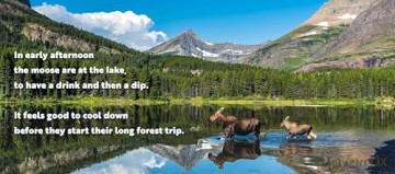 Animal Adventures: Day in the Forest [KSIĄŻKA]