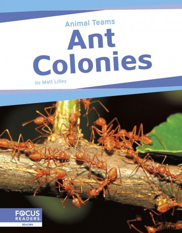 Ant Colonies [KSIĄŻKA]