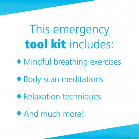 Anxiety First Aid Kit: Quick Tools for Extreme, Uncertain Times [KSIĄŻKA]