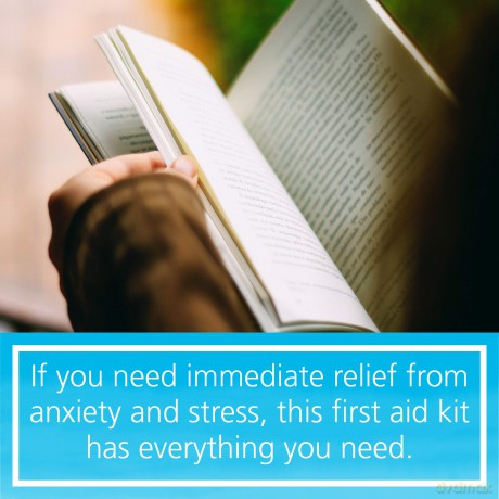Anxiety First Aid Kit: Quick Tools for Extreme, Uncertain Times [KSIĄŻKA]