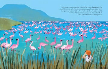 Are Birds Modern-Day Dinosaurs: Discover the science behind ornithology [KSIĄŻKA]
