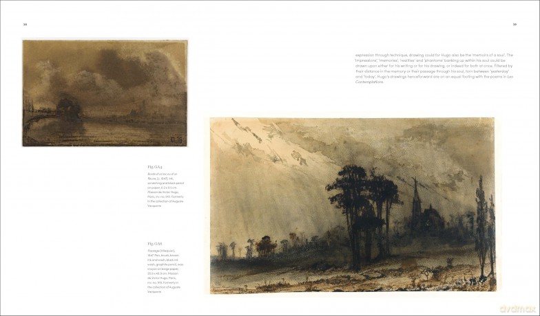 Astonishing Things: The Drawings of Victor Hugo [KSIĄŻKA]