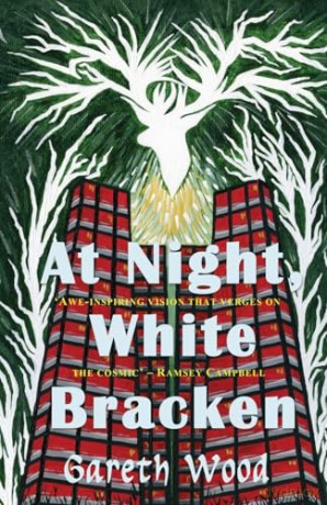 At Night White Bracken [KSIĄŻKA]