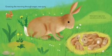 Baby Animals Trying: A Celebration of First Moments [KSIĄŻKA]