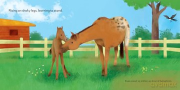 Baby Animals Trying: A Celebration of First Moments [KSIĄŻKA]