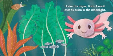 Baby Axolotl: Finger Puppet Book [KSIĄŻKA]