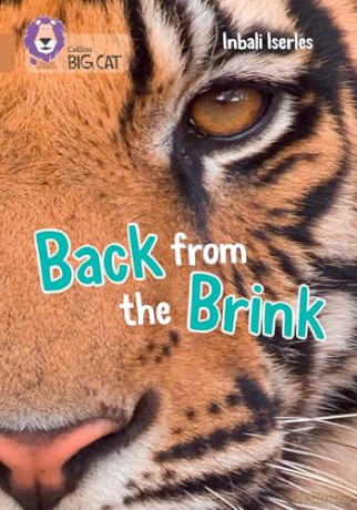 Back from the Brink: Band 12/Copper [KSIĄŻKA]
