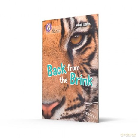 Back from the Brink: Band 12/Copper [KSIĄŻKA]