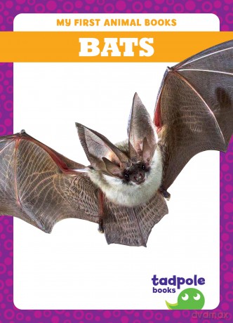 Bats [KSIĄŻKA]