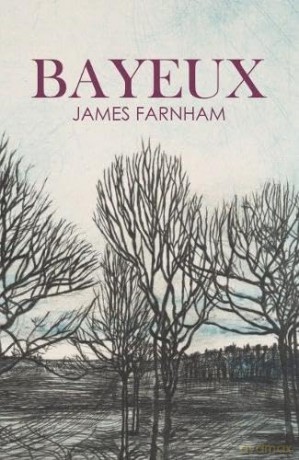 Bayeux [KSIĄŻKA]