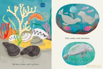 Be Thankful for Water: How water sustains our planet [KSIĄŻKA]