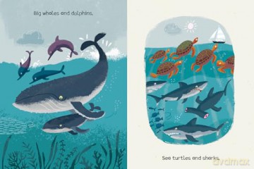Be Thankful for Water: How water sustains our planet [KSIĄŻKA]