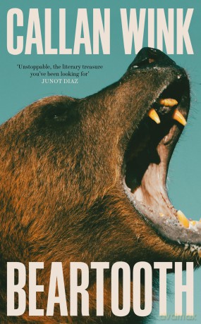 Beartooth [KSIĄŻKA]