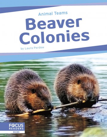 Beaver Colonies [KSIĄŻKA]
