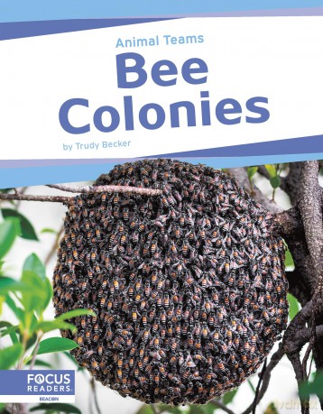 Bee Colonies [KSIĄŻKA]
