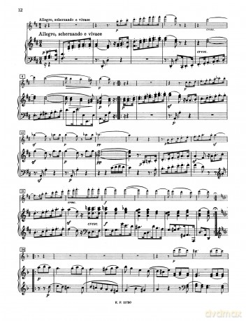Beethoven: Serenade Op.41 [KSIĄŻKA]