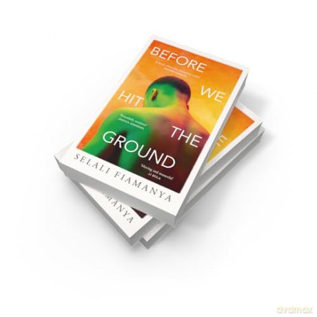 Before We Hit the Ground: A powerful new literary novel for fans of Open Water and Transcendent Kingdom [KSIĄŻKA]