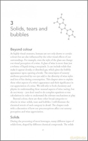 Behind the Glass: The Chemical and Sensorial Terroir of Wine Tasting [KSIĄŻKA]
