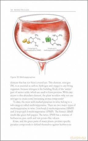 Behind the Glass: The Chemical and Sensorial Terroir of Wine Tasting [KSIĄŻKA]