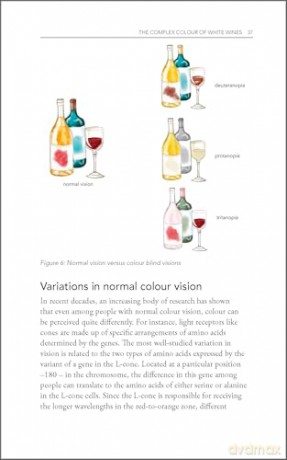 Behind the Glass: The Chemical and Sensorial Terroir of Wine Tasting [KSIĄŻKA]