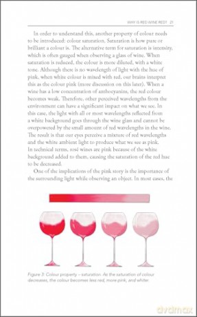 Behind the Glass: The Chemical and Sensorial Terroir of Wine Tasting [KSIĄŻKA]