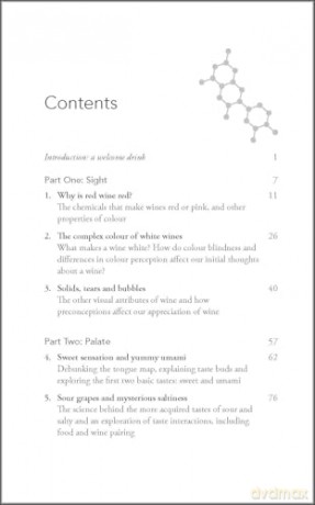 Behind the Glass: The Chemical and Sensorial Terroir of Wine Tasting [KSIĄŻKA]