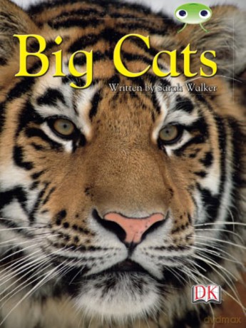 Big Cats [KSIĄŻKA]