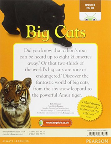 Big Cats [KSIĄŻKA]