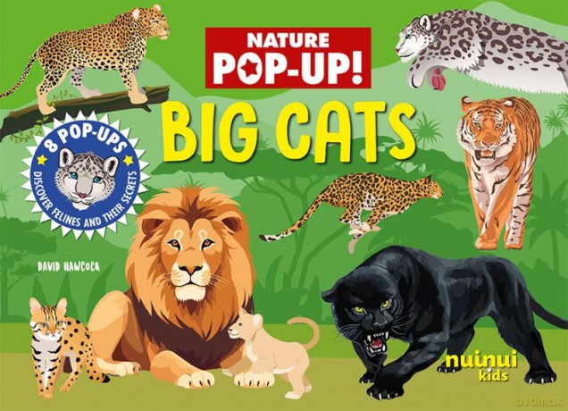 Big Cats [KSIĄŻKA]