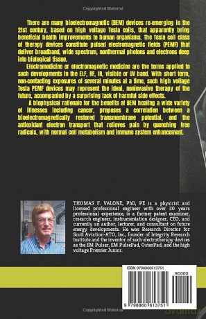 Bioelectromagnetic Healing: A Rationale for Its Use [KSIĄŻKA]