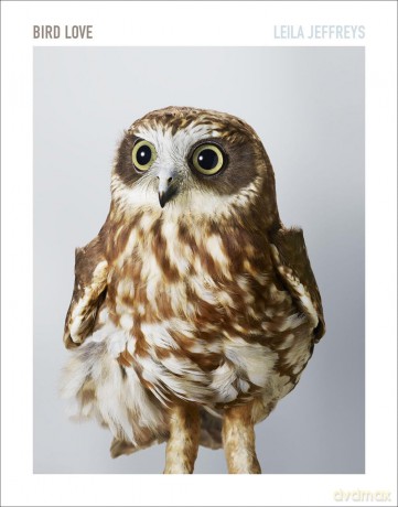 Bird Love: A Photography Book [KSIĄŻKA]