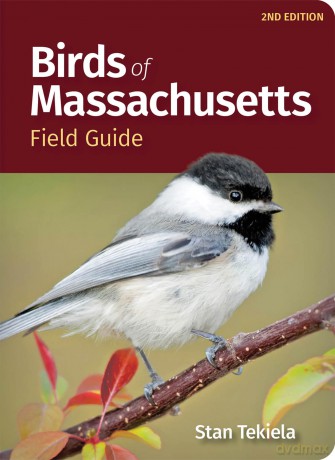 Birds of Massachusetts Field Guide [KSIĄŻKA]