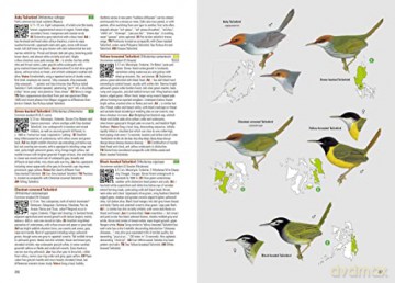 Birds of the Philippines [KSIĄŻKA]