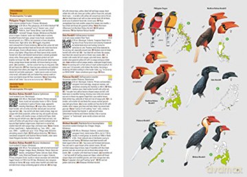 Birds of the Philippines [KSIĄŻKA]