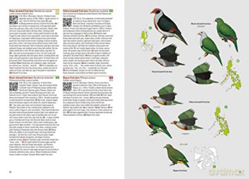 Birds of the Philippines [KSIĄŻKA]