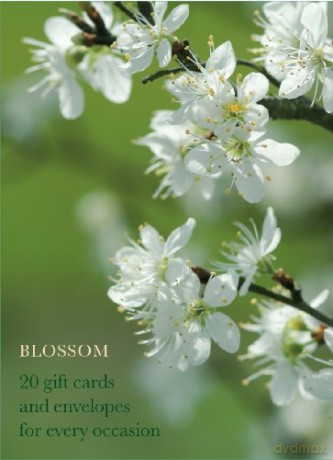 Blossom Large Card Box [KSIĄŻKA]