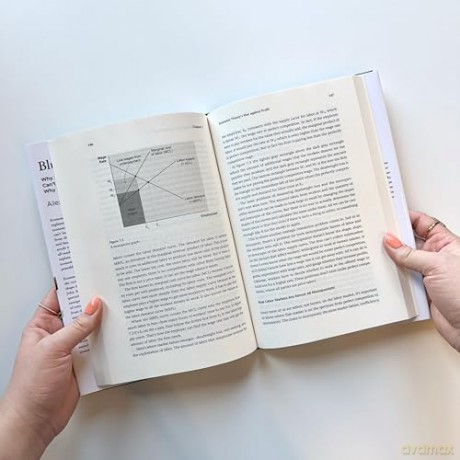Blunt Instrument: Why Economic Theory Can't Get Any Better...Why We Need It Anyway [KSIĄŻKA]