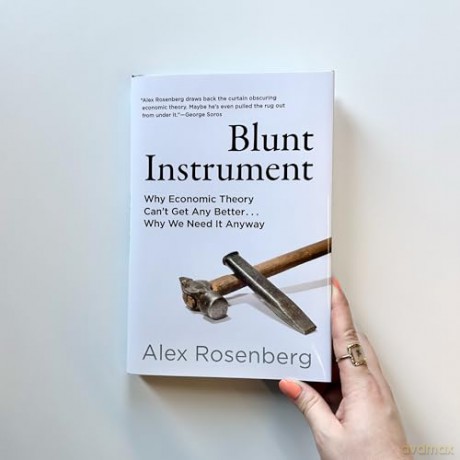 Blunt Instrument: Why Economic Theory Can't Get Any Better...Why We Need It Anyway [KSIĄŻKA]
