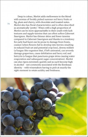 Bordeaux: The Smart Traveller's Wine Guide: A pocket guide to Bordeaux for the wine-interested tourist [KSIĄŻKA]