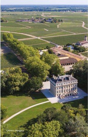 Bordeaux: The Smart Traveller's Wine Guide: A pocket guide to Bordeaux for the wine-interested tourist [KSIĄŻKA]